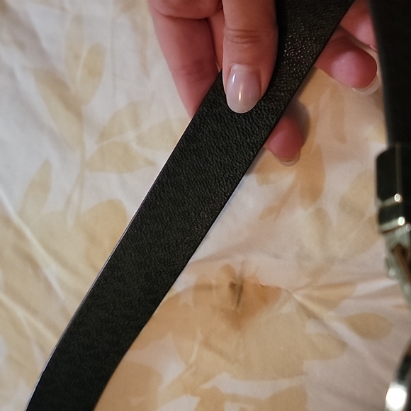Belt - Picture 4 of 4